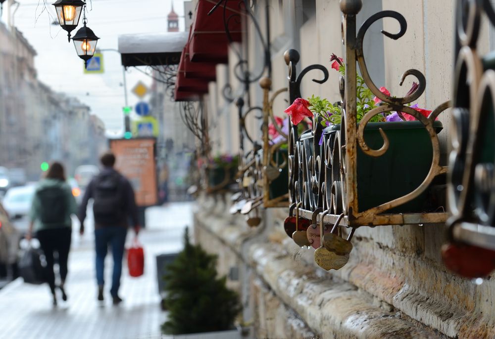 Фотография автора Елена