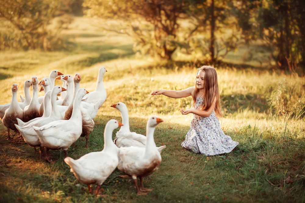 Photograph by Ольга Додонова