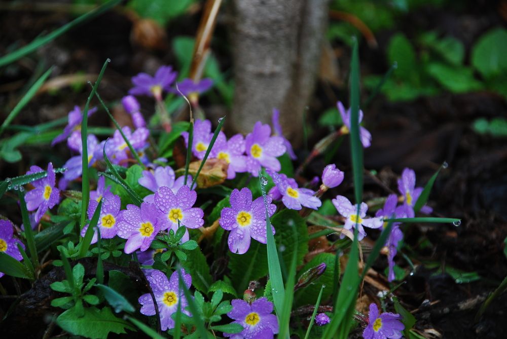 Photograph by Марина Толкодубова