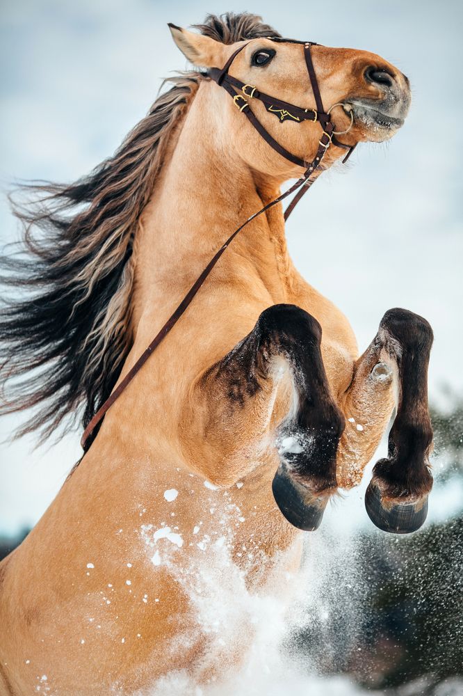 Photograph by Альбина Сагитова