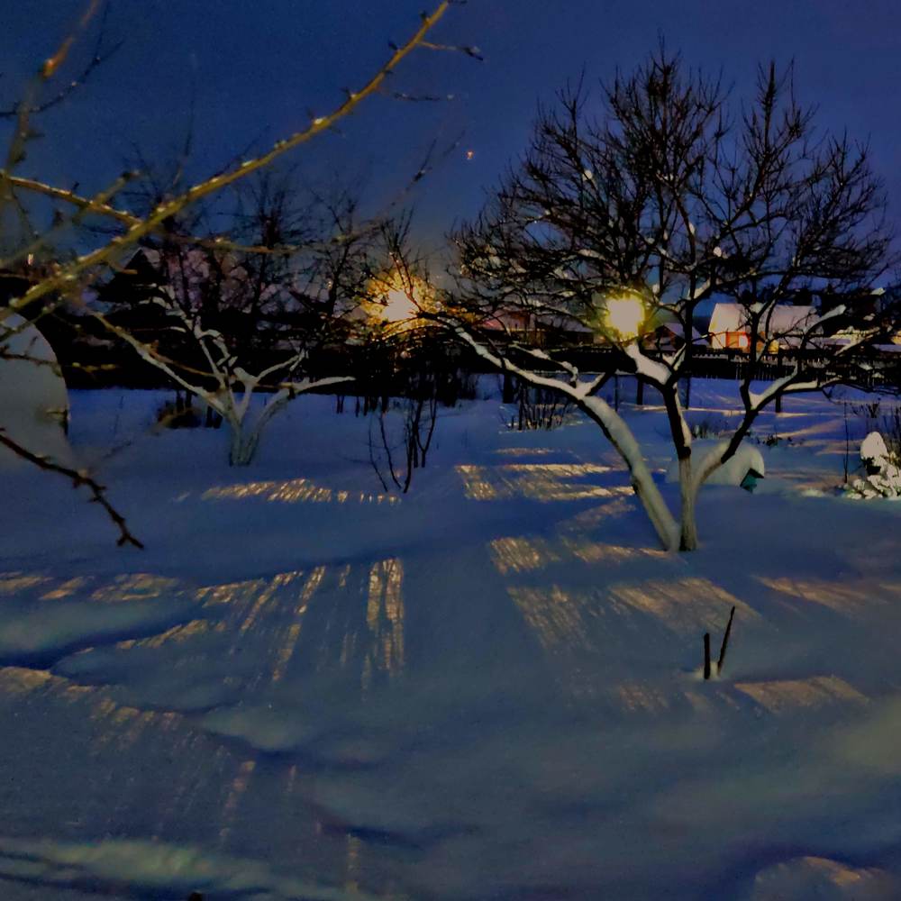 Photograph by Евгений Ужегов