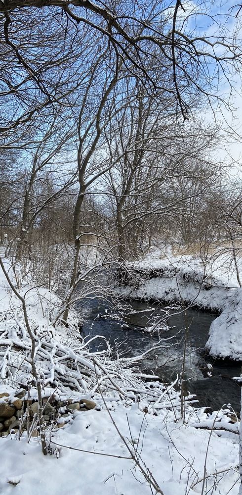 Photograph by Ирина Молибог