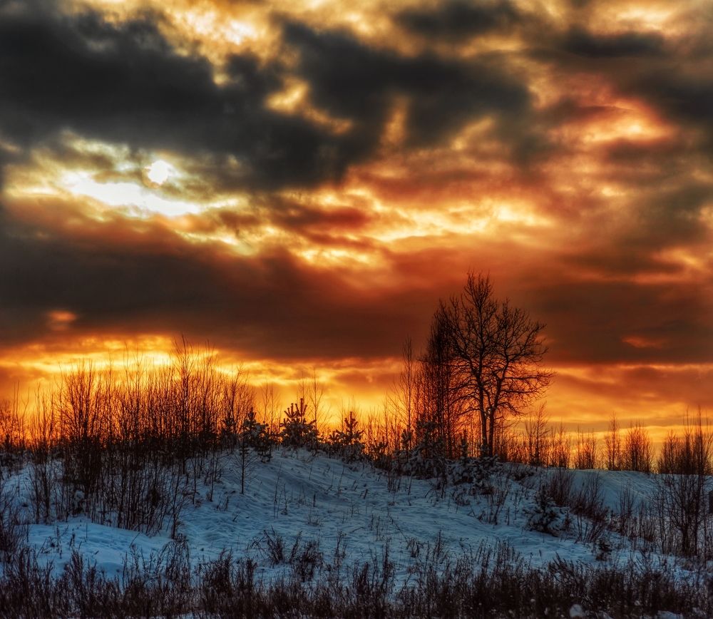 Photograph by Viktor Sheibak