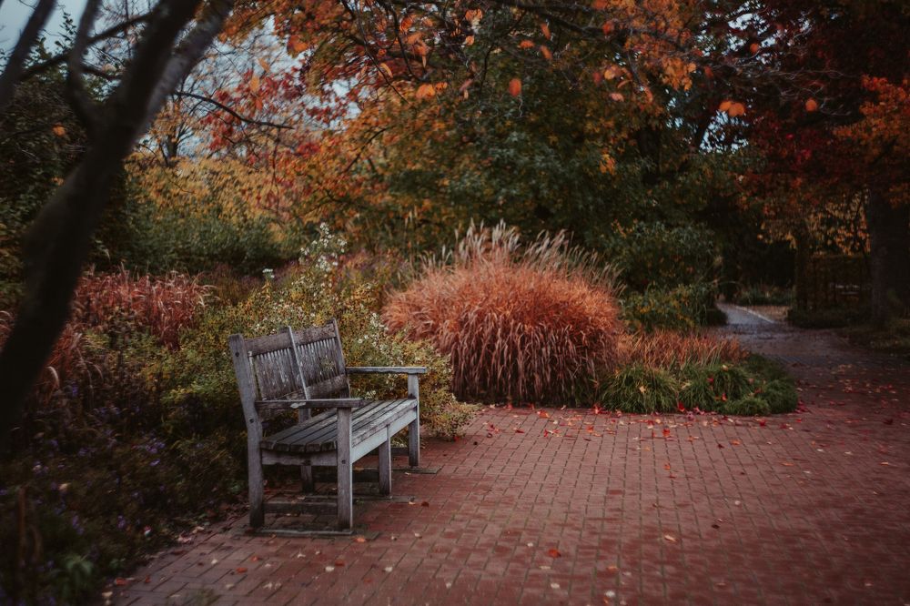 Photograph by Tatiana Kurilas