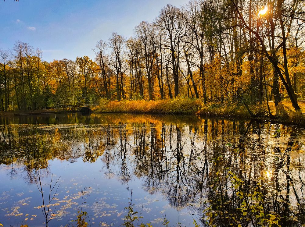 Фотография автора Inna Evseeva