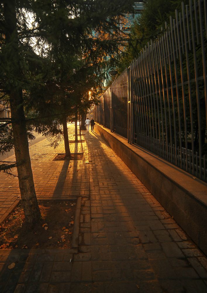 Photograph by Светлана Кавказская