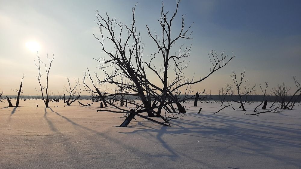 Photograph by Ева