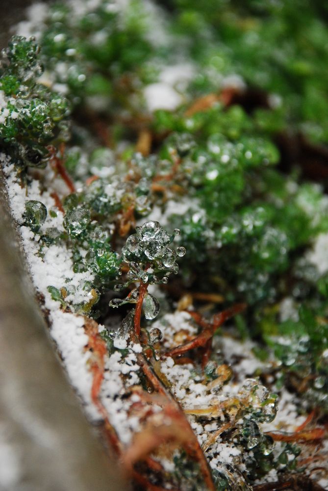 Photograph by Марина Толкодубова