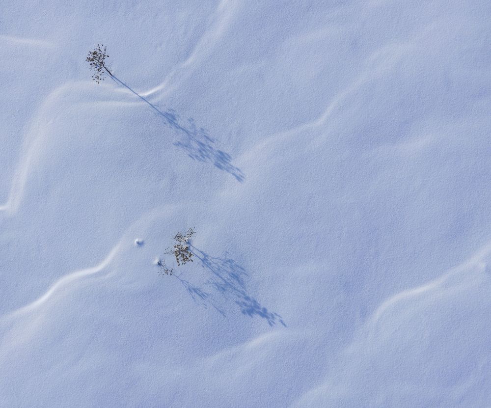 Photograph by Татьяна Борисова