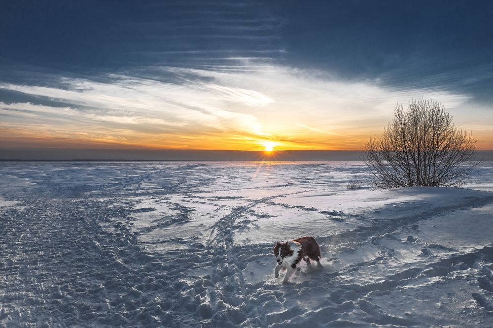 Photograph by Александр Бурков