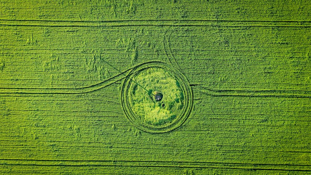 Photograph by Елена