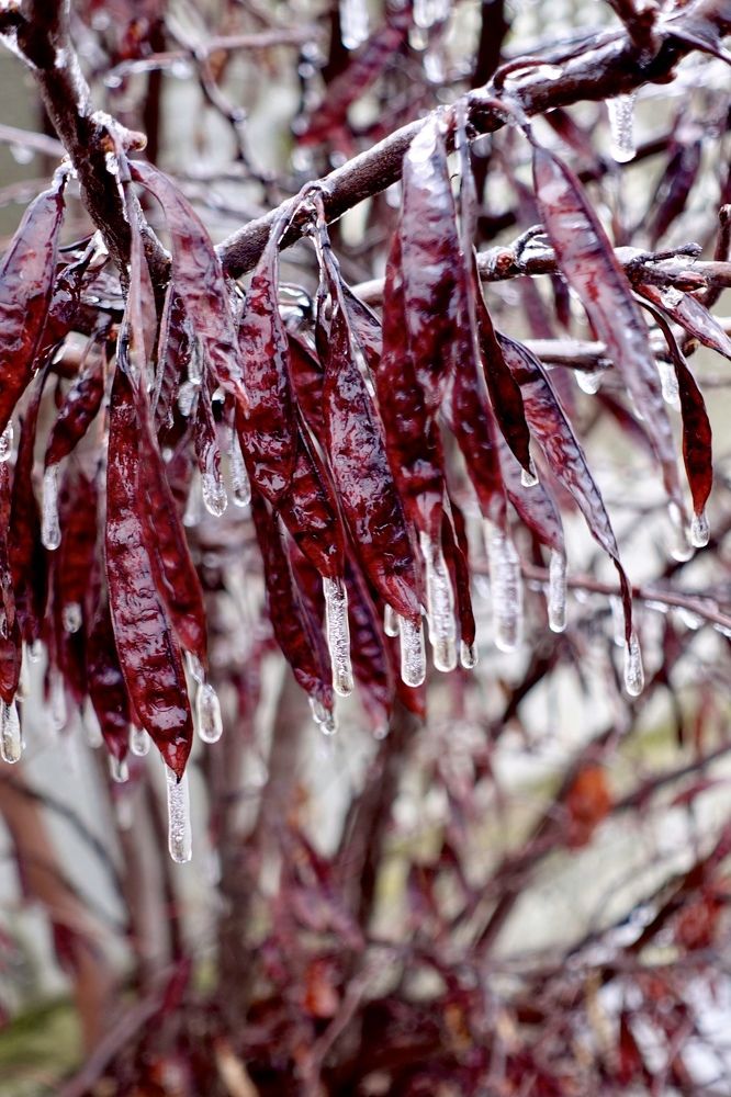 Photograph by Елена Ломова