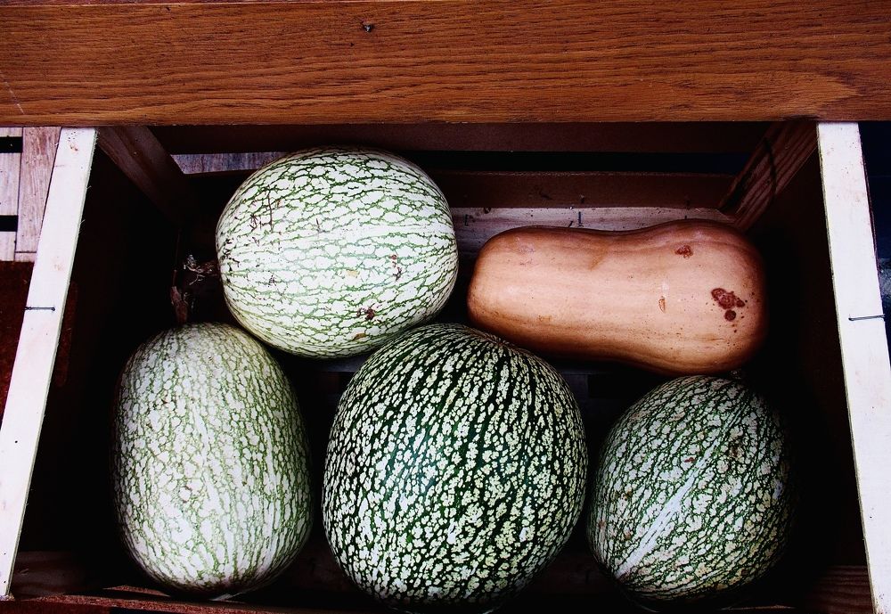 Photograph by Tiago França