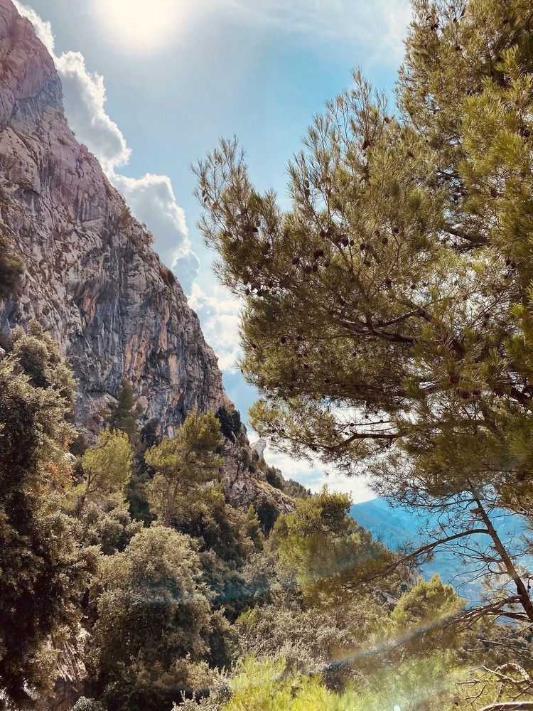 Photograph by EUGENIO VARANDAS