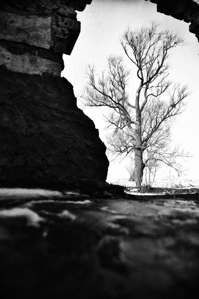 Photograph by 