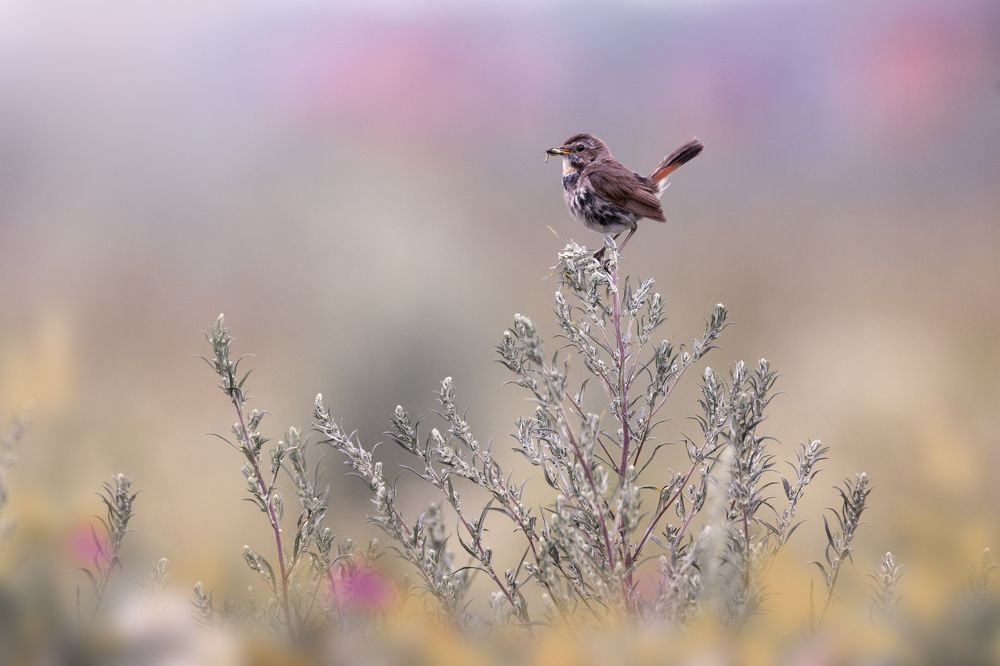 Photograph by Дмитрий Посевич