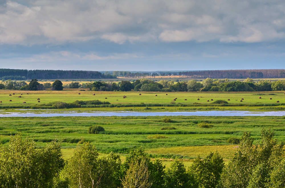 Photograph by Владимир Барышев