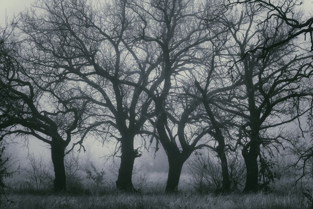 Фотография автора Игорь Баранов