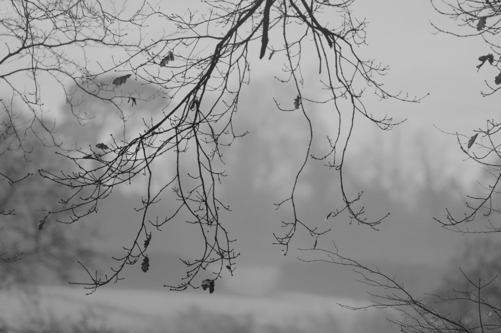 Photograph by Vitaliy Tuzov