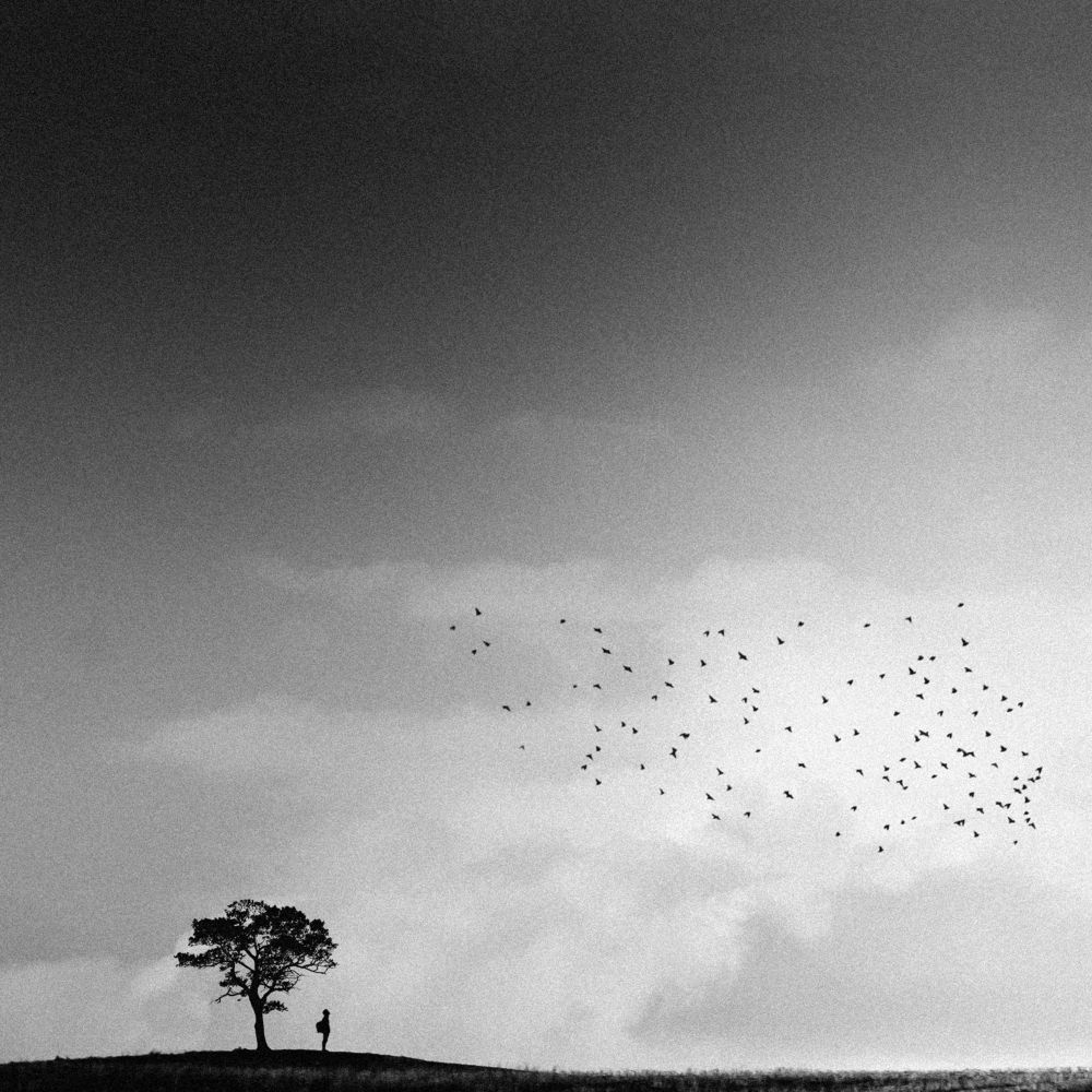 Seeking the brightness