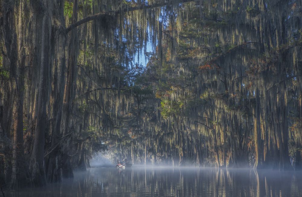 Photograph by Галина Ломако