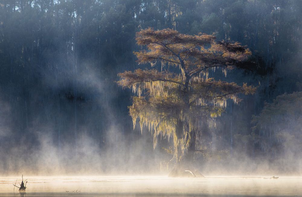 Photograph by Галина Ломако