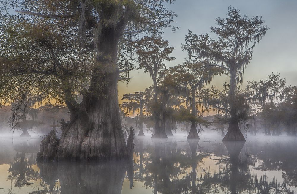 Photograph by Галина Ломако