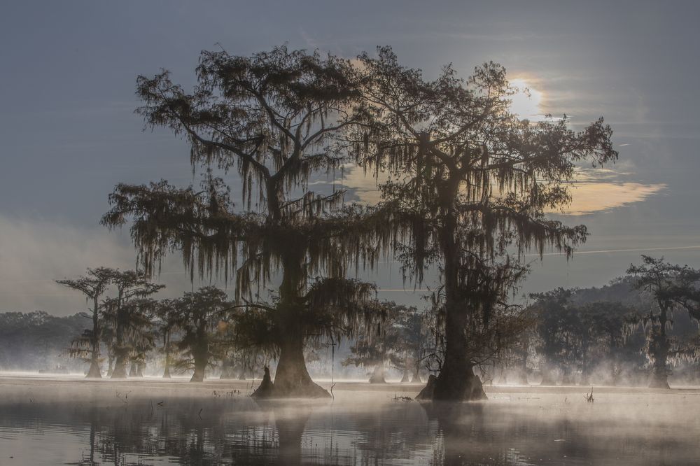 Photograph by Галина Ломако