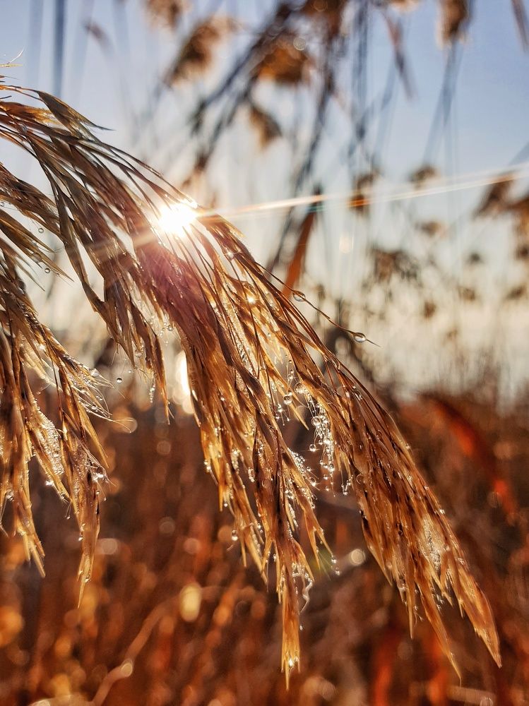 Photograph by Лариса Когтева