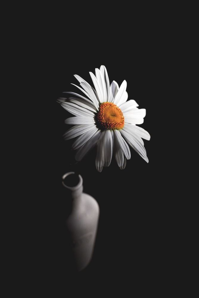 Photograph by Семко Александр