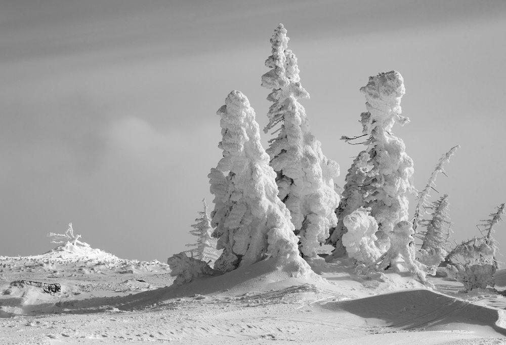 Фотография автора Сергей Сынтин