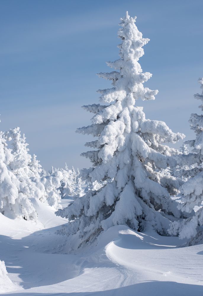 Фотография автора Сергей Сынтин