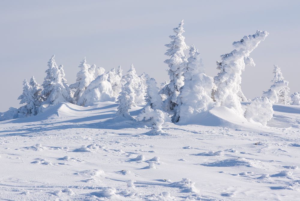 Фотография автора Сергей Сынтин