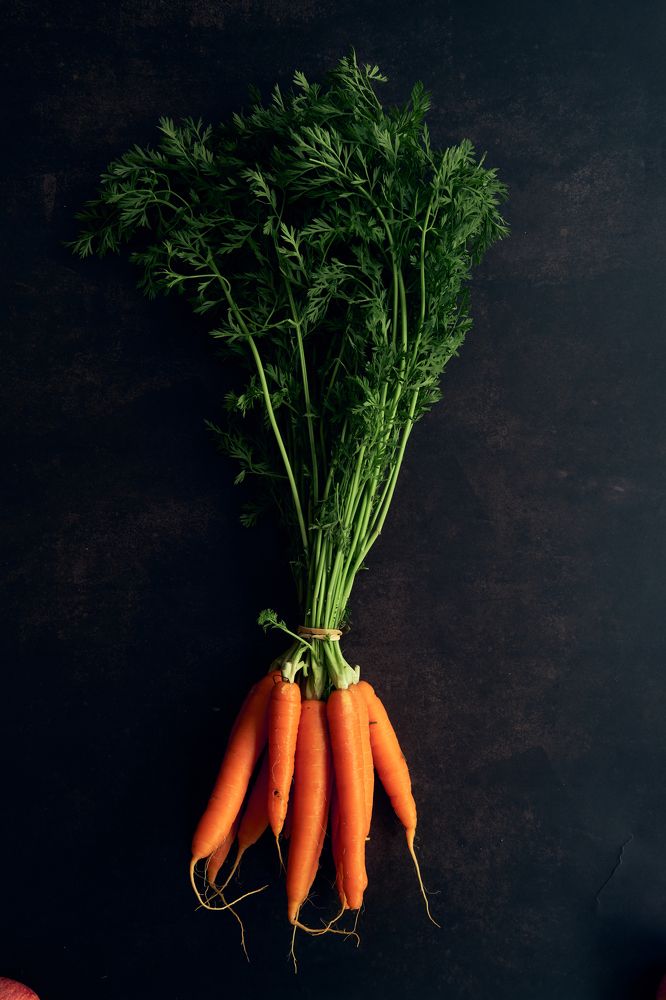 Photograph by Boris Vasilenko