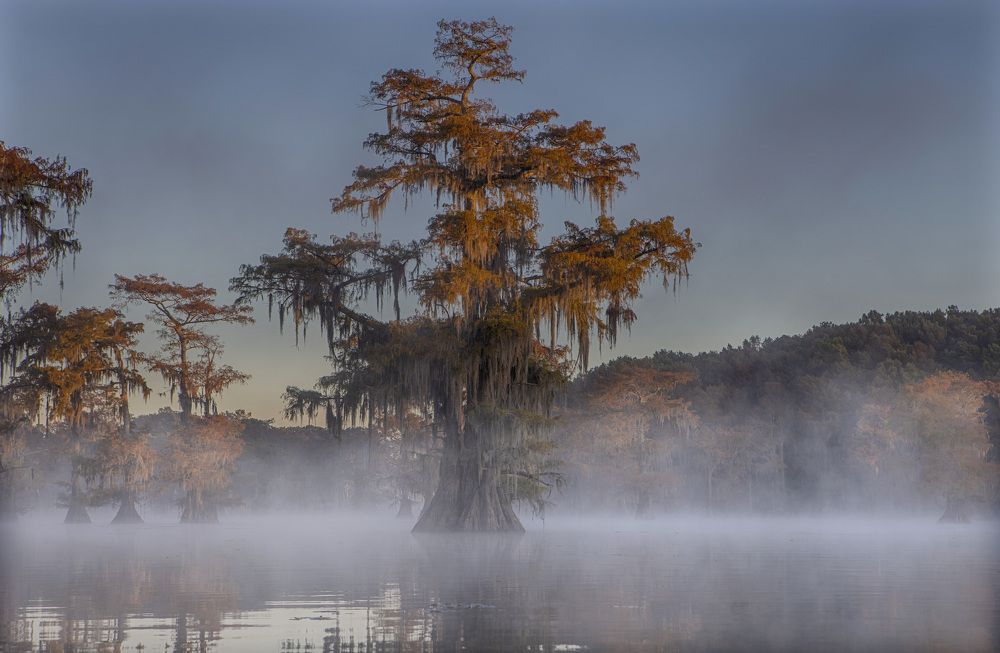 Photograph by Галина Ломако