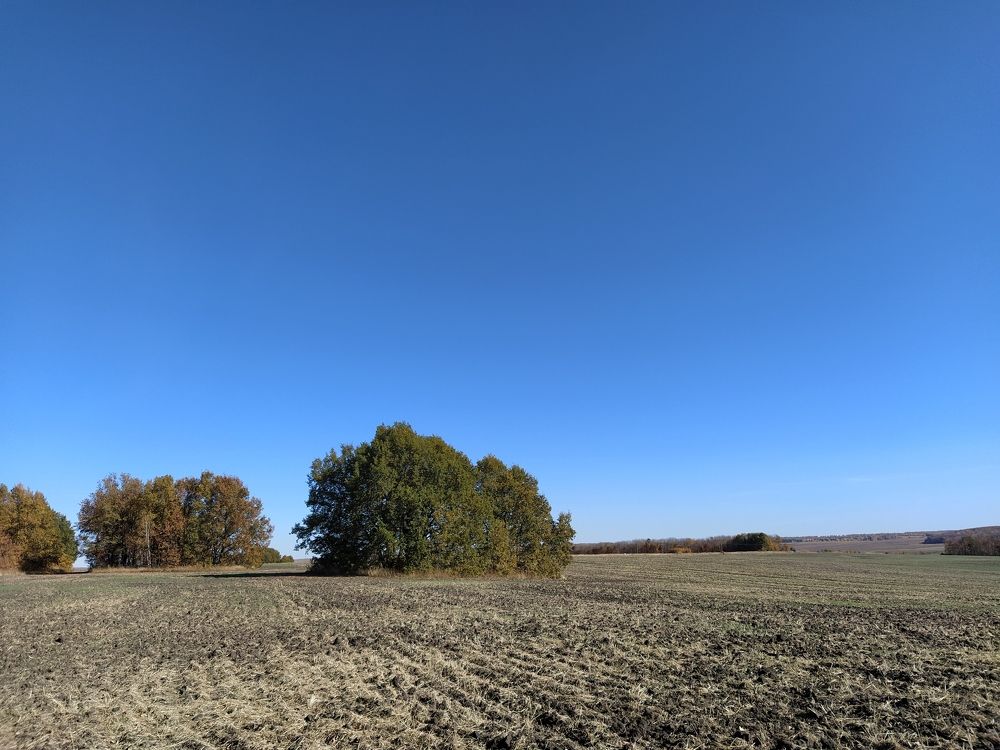 Photograph by Александр Борисов