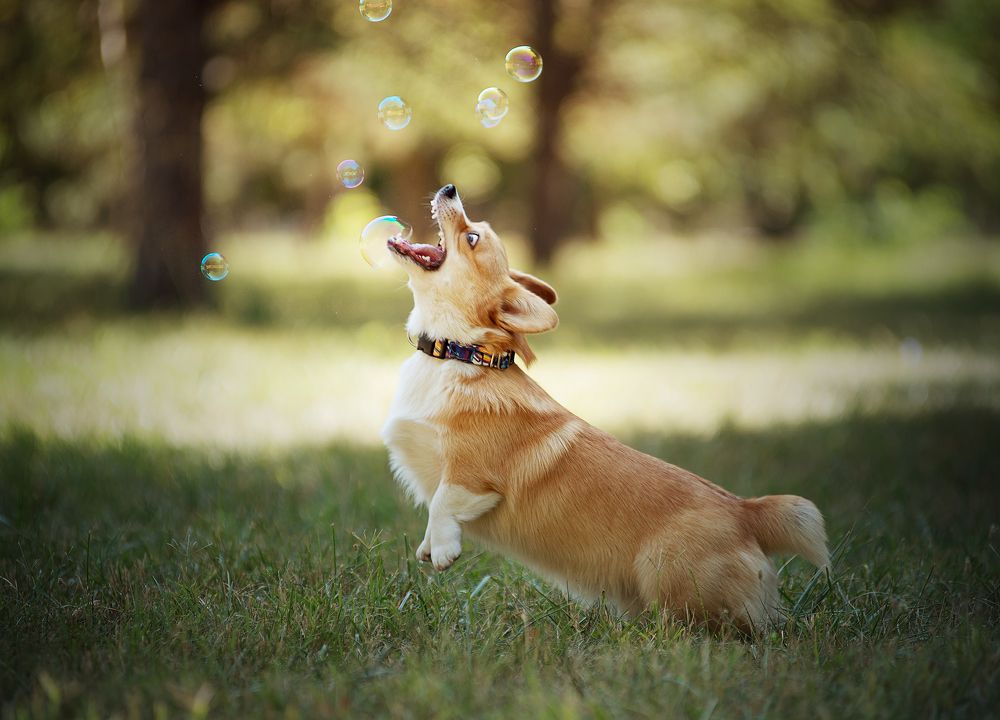 Photograph by Григорьева Юлия