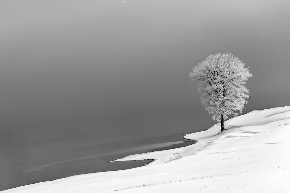 Photograph by Леонид Максименко