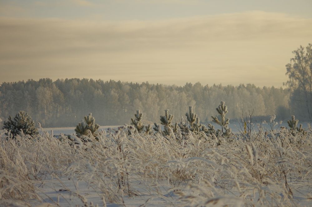 Photograph by Григорий