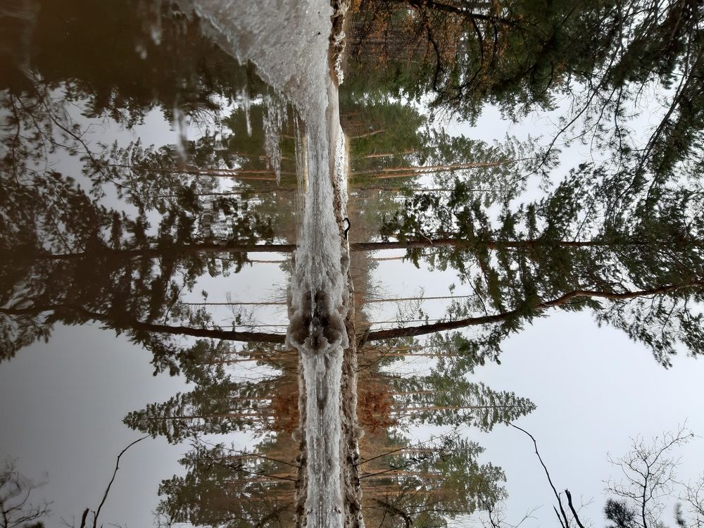 Photograph by Виктория Стецко