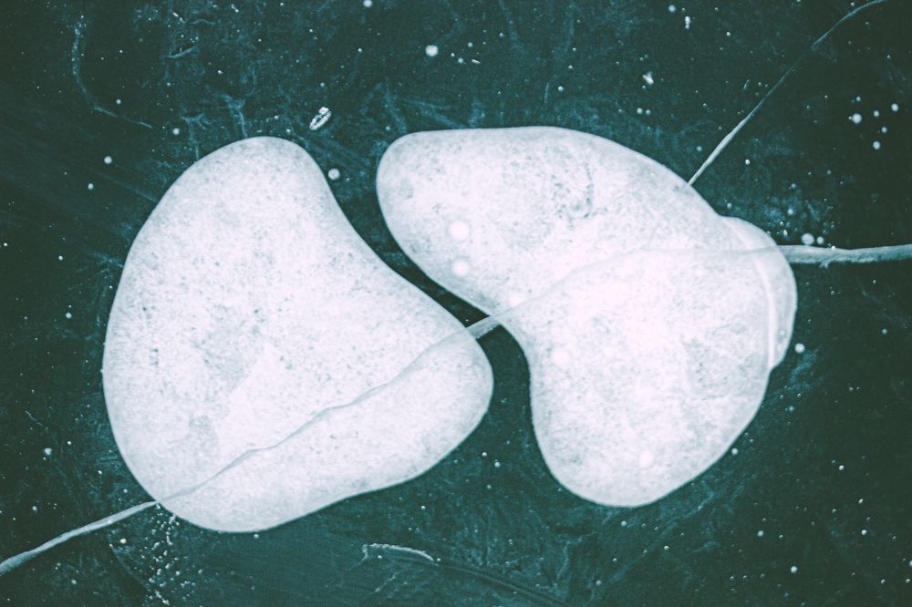 Photograph by Дмитрий Тимофеев