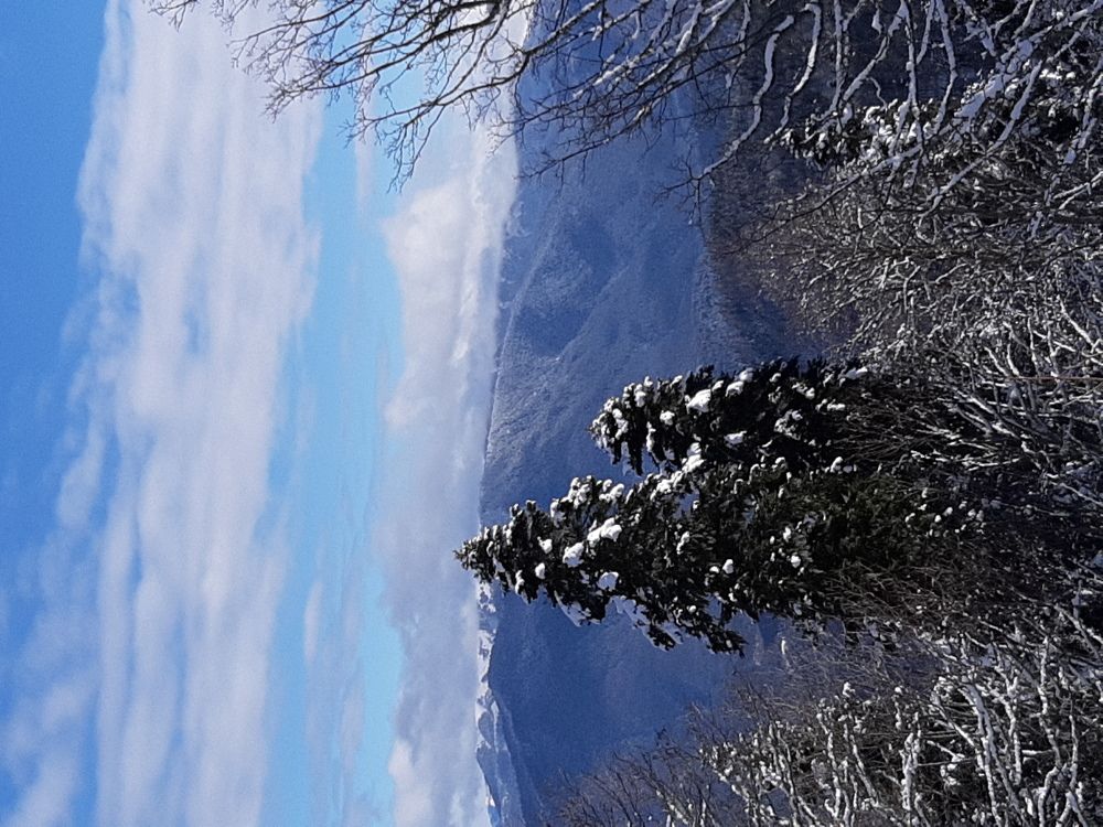 Photograph by Виктория Стецко