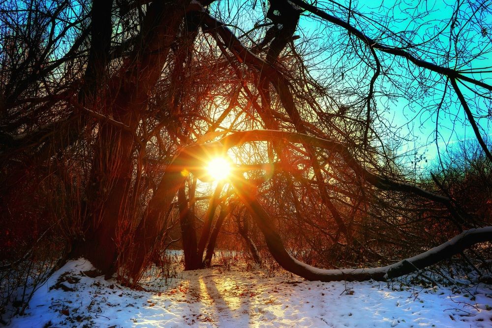 Photograph by Екатерина Цыбулькина