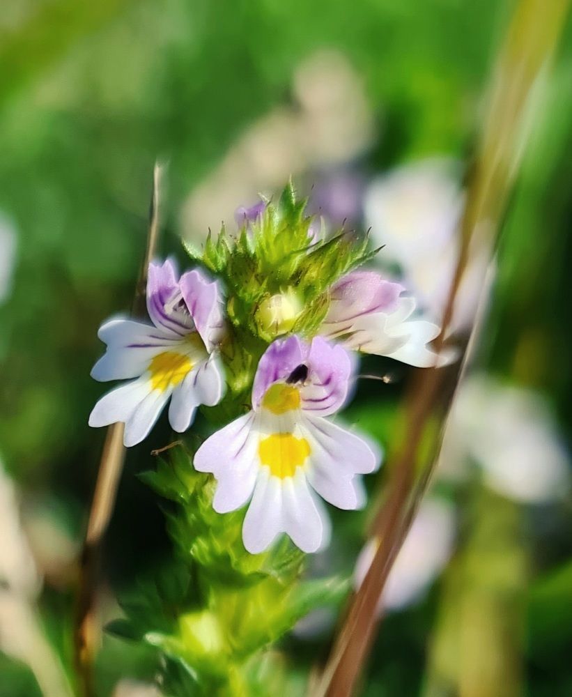 Photograph by СТАРКОВА ПОЛИНА