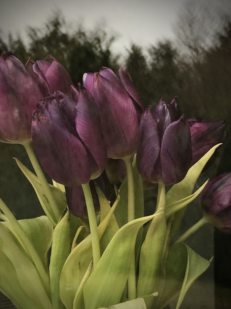 Photograph by Valentina Jegorova