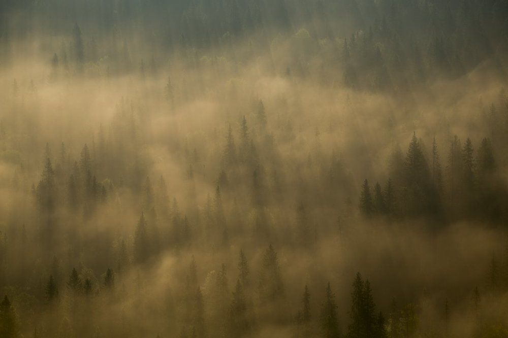 Photograph by Александр Чазов