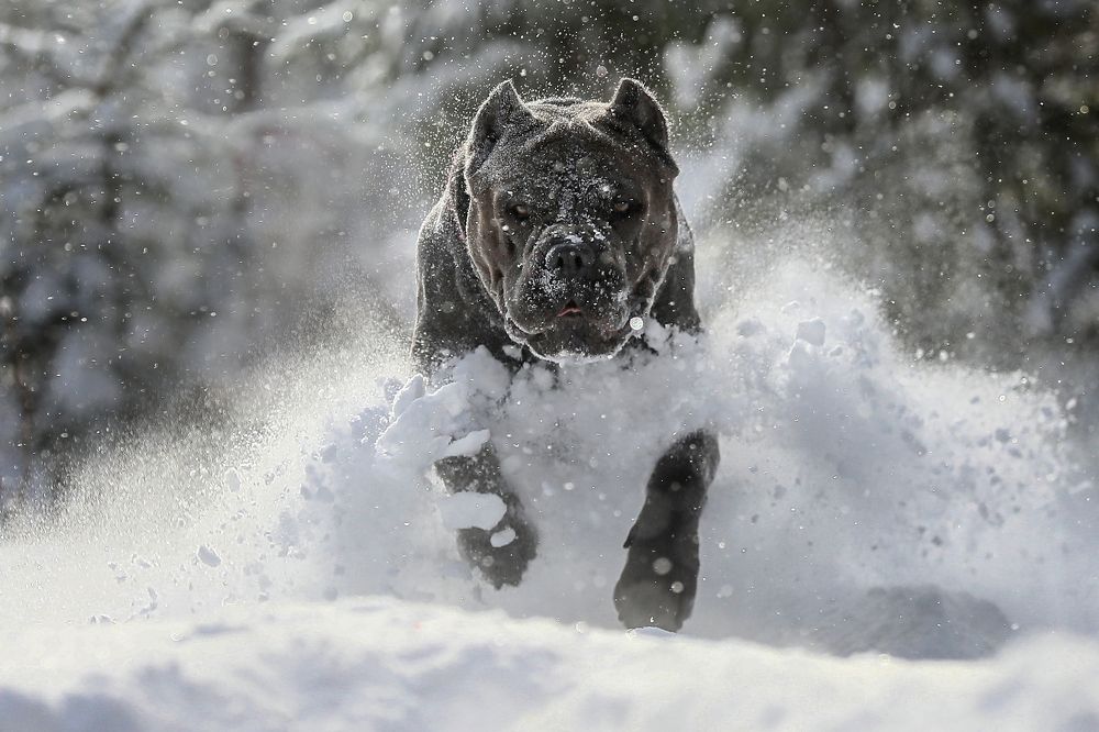 Photograph by Андрей Ершов