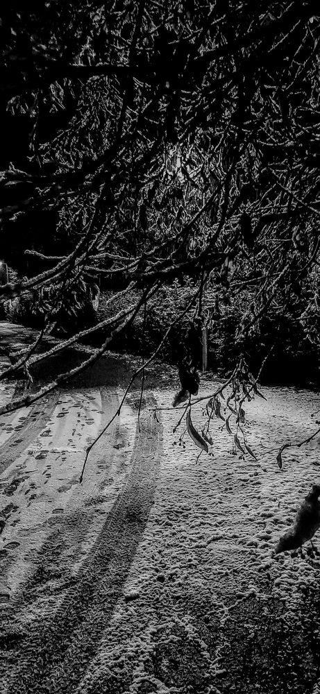 Photograph by Arkadij Frejdlin