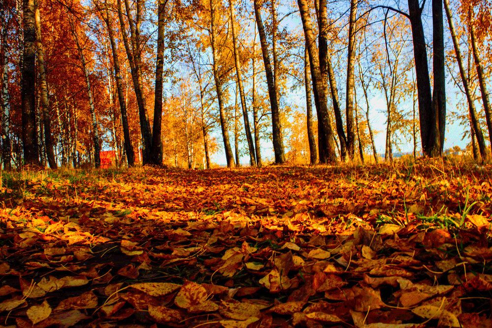 Photograph by Александр