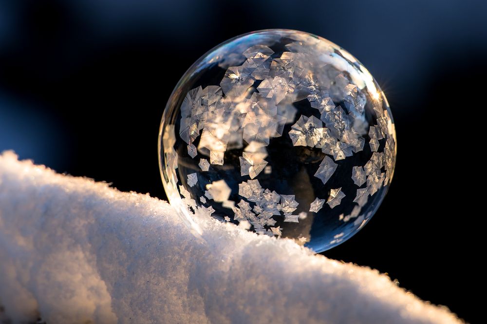 fragile winter world